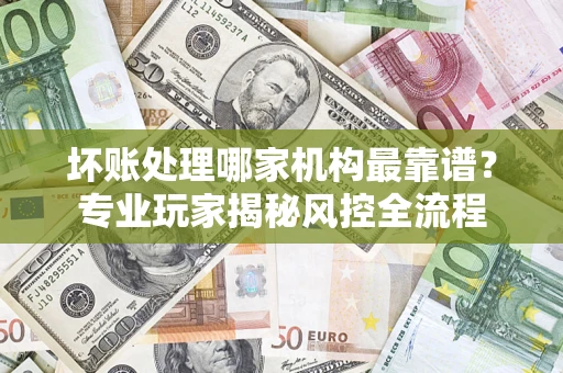 武汉坏账处理哪家机构最靠谱？专业玩家揭秘风控全流程