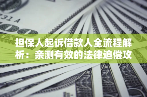 武汉担保人起诉借款人全流程解析：亲测有效的法律追偿攻略