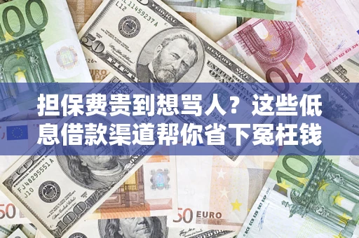 武汉担保费贵到想骂人？这些低息借款渠道帮你省下冤枉钱