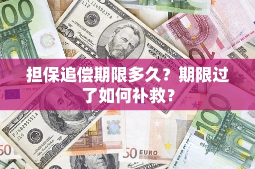 武汉担保追偿期限多久？期限过了如何补救？