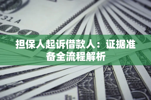 武汉担保人起诉借款人：证据准备全流程解析