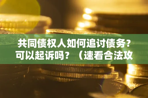 武汉共同债权人如何追讨债务？可以起诉吗？（速看合法攻略）