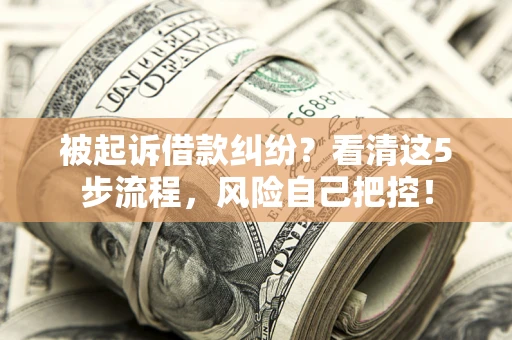 武汉被起诉借款纠纷？看清这5步流程，风险自己把控！
