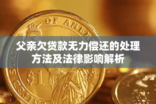武汉父亲欠贷款无力偿还的处理方法及法律影响解析