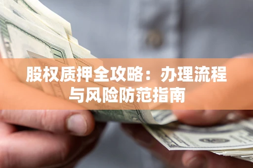 武汉股权质押全攻略：办理流程与风险防范指南